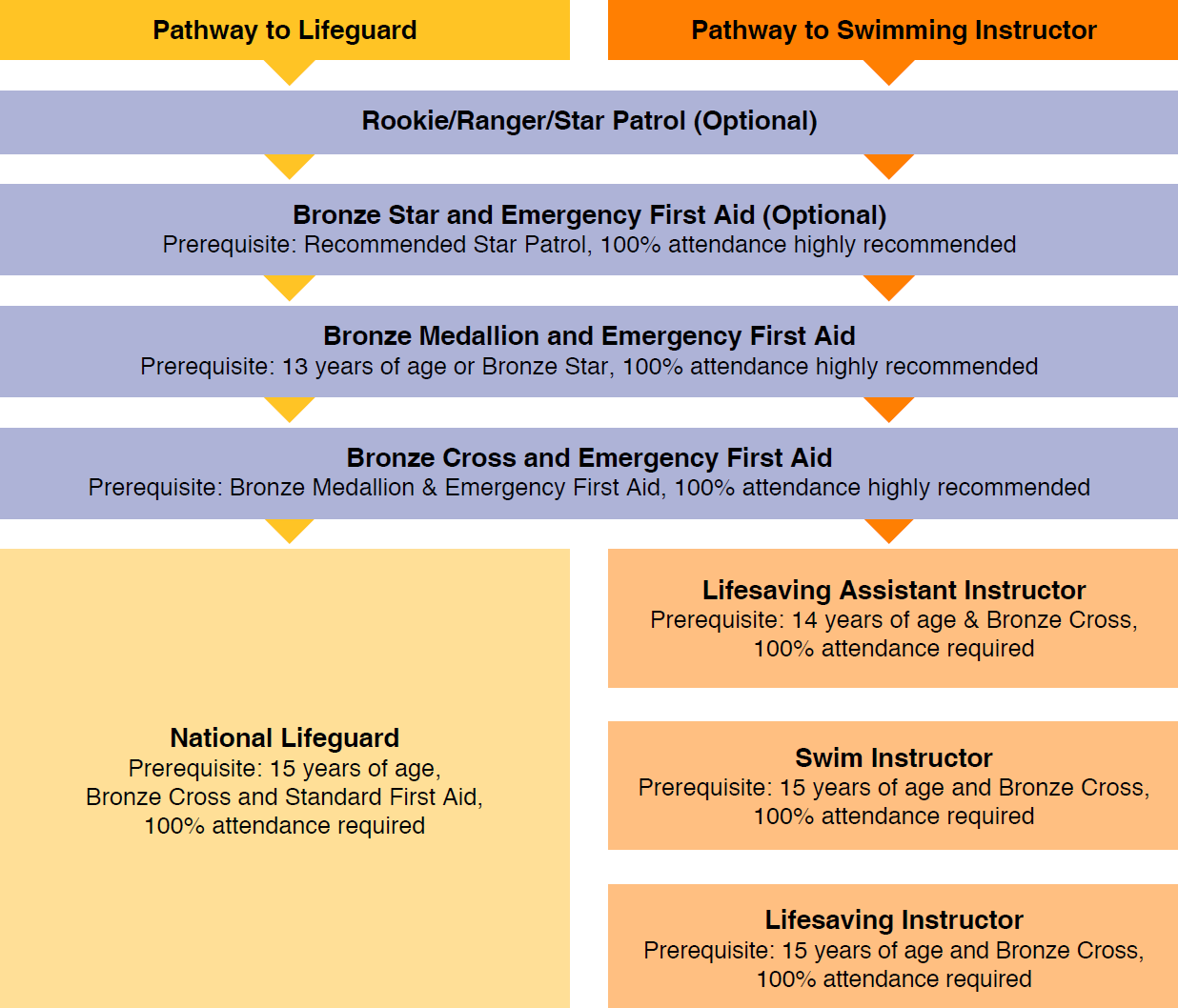 Diagram showing the pathway to become a lifeguard or swimming instructor