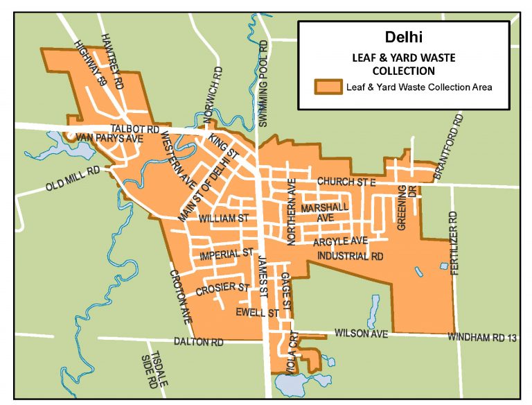 Leaf and yard waste area in Delhi