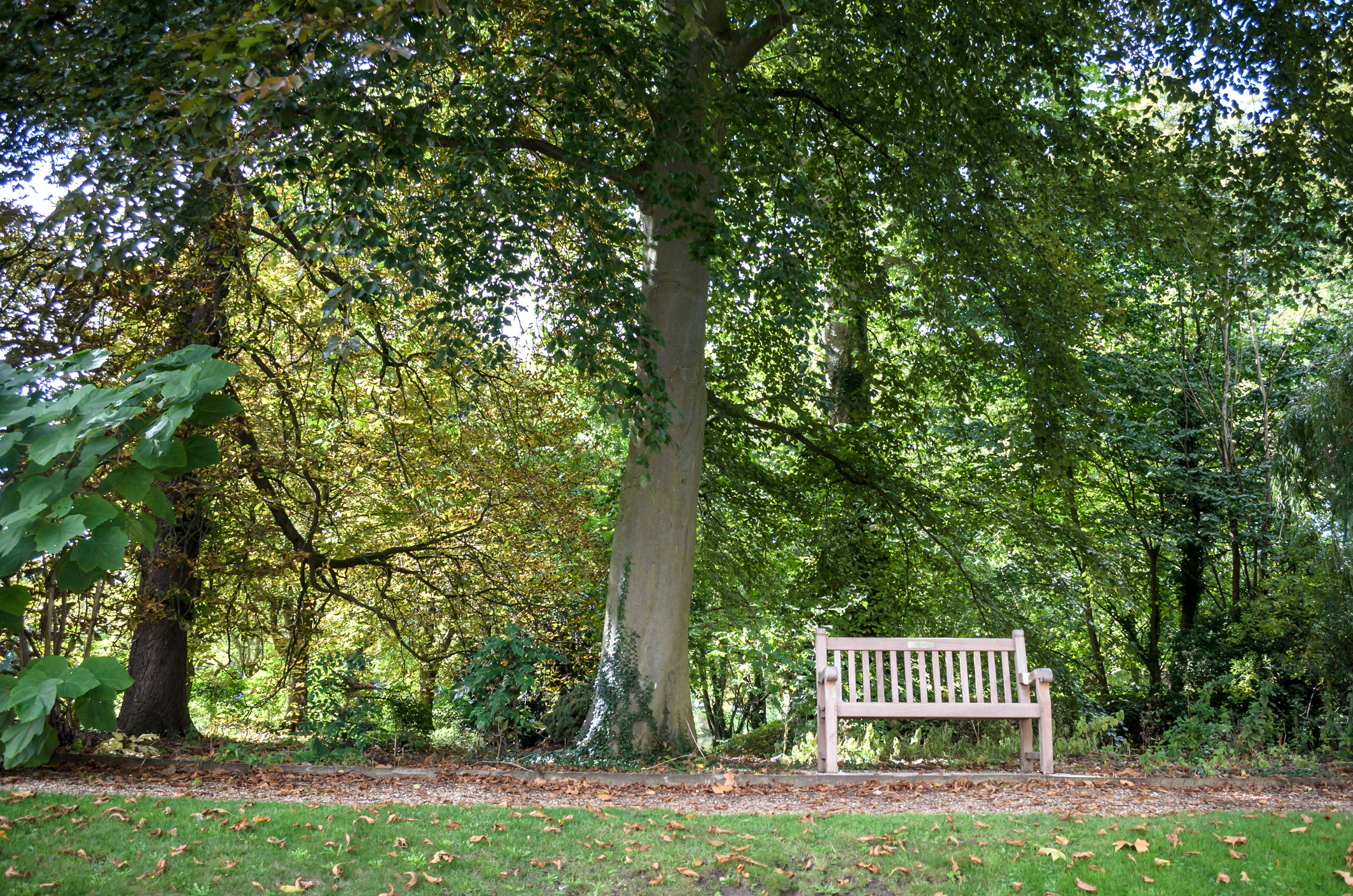 Memorial bench