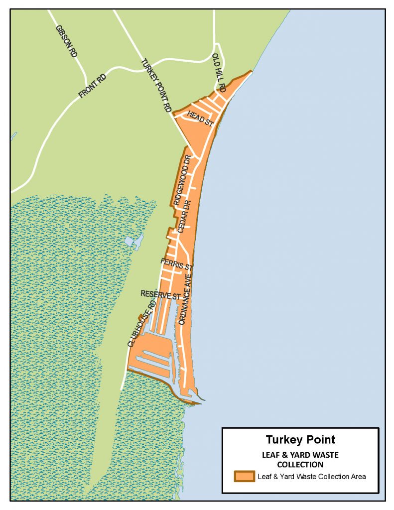 Leaf and yard waste area in Turkey Point